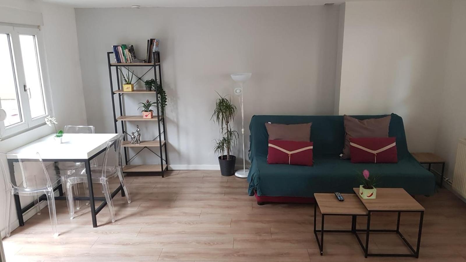 May Lovers Cosy Appart + Terrasse Near City Center Страсбург Екстериор снимка